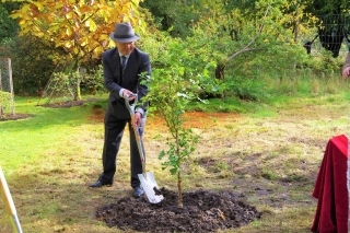 Ginkgo Tree for Peace planting ceremony at the Benmore Botanic Garden02