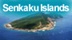 link